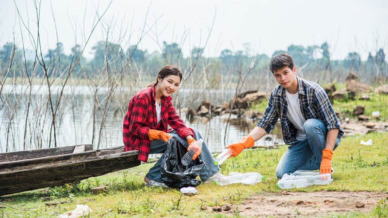 Managing Yard Waste During Large Property Clearing