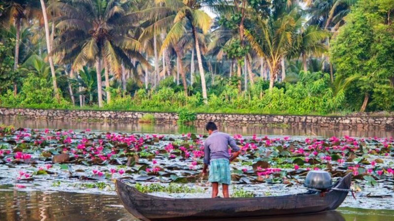 Kerala Travel
